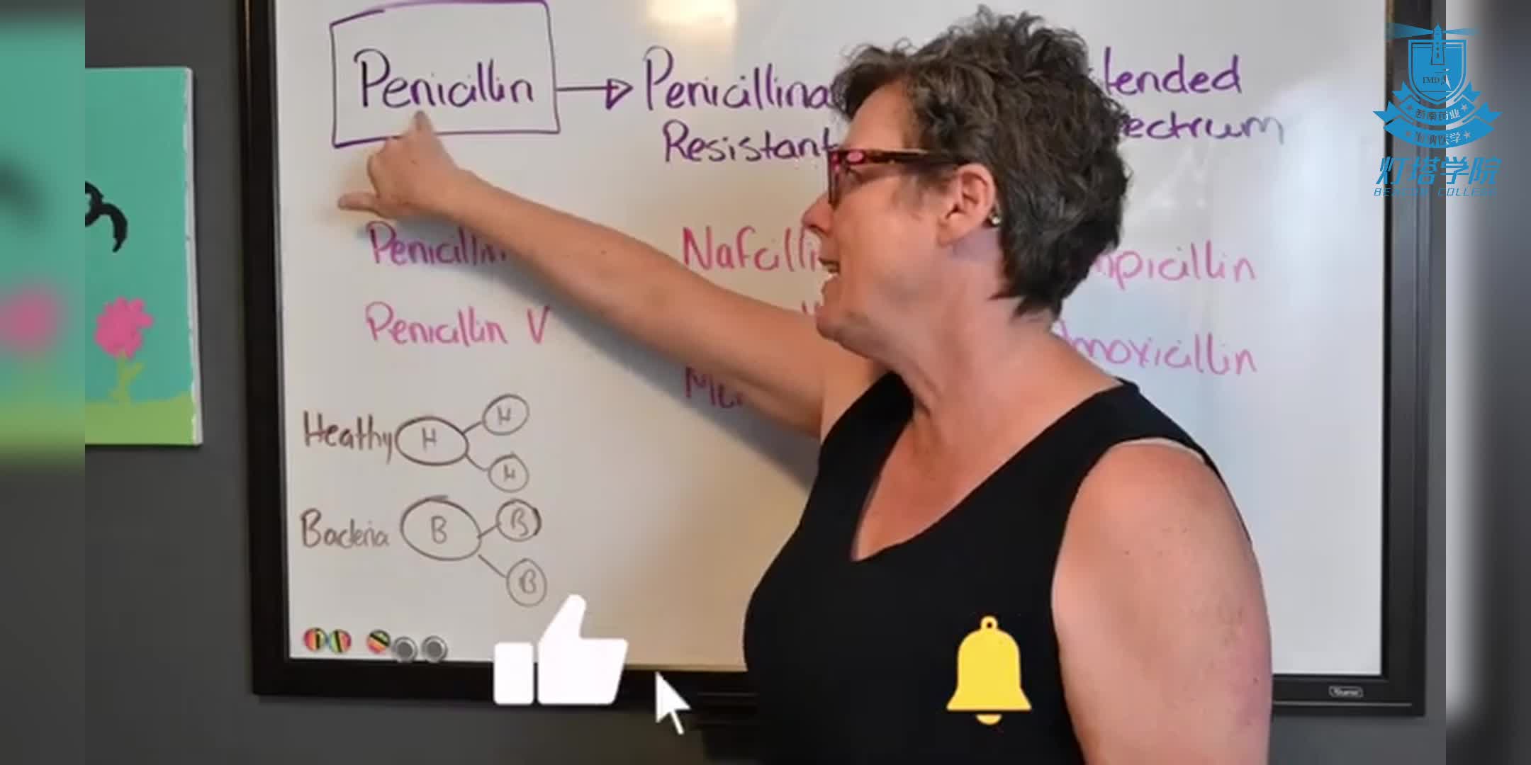 青霉素耐药性机制与临床应用的解析