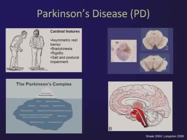 Redefining Parkinson's Disease Challenging the Past and Preparing for the Future 