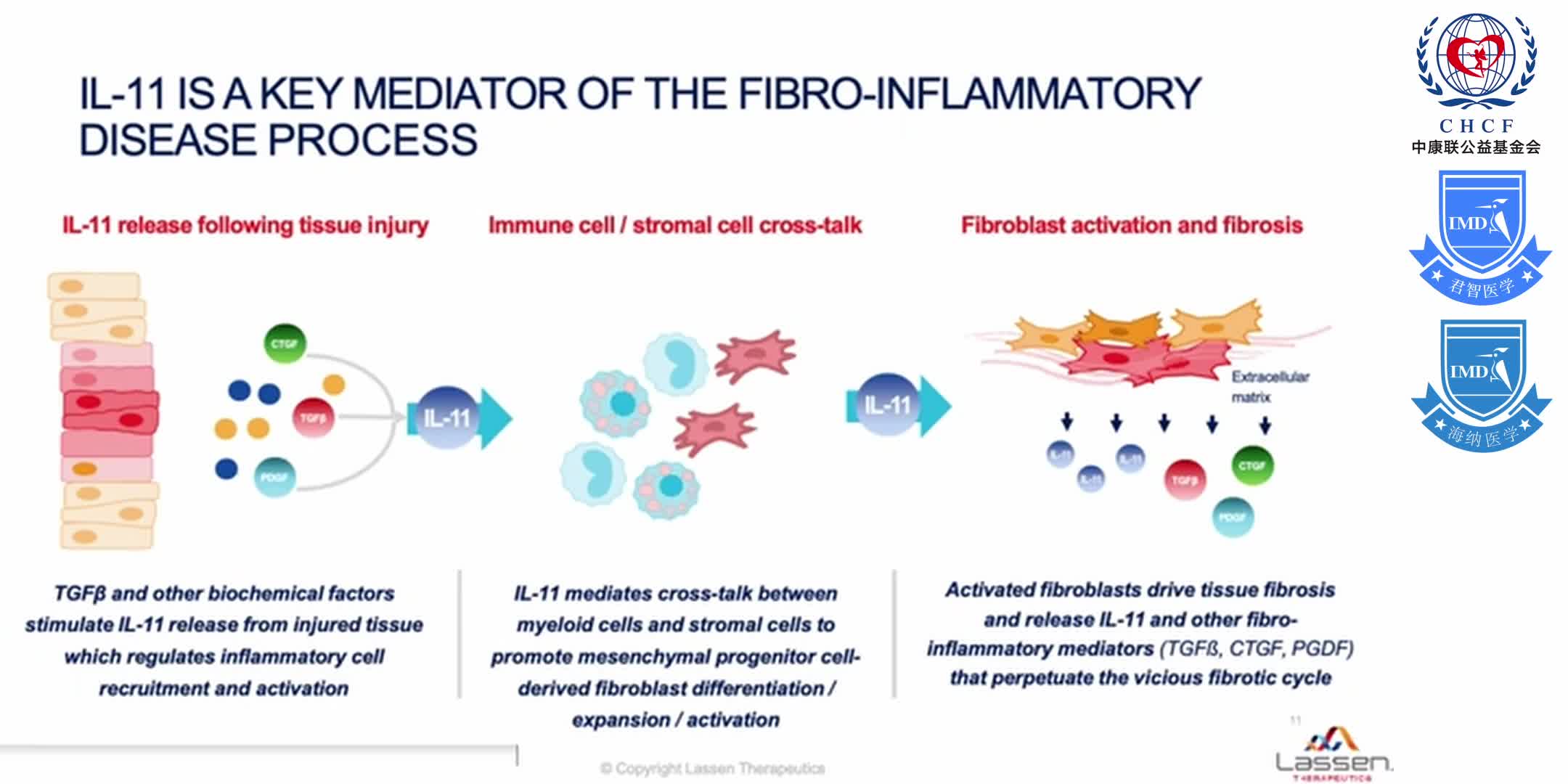 Antibody Mediated Blockade of Interleukin-11 Signaling for IPF & Other Fibrotic Diseases 1-3