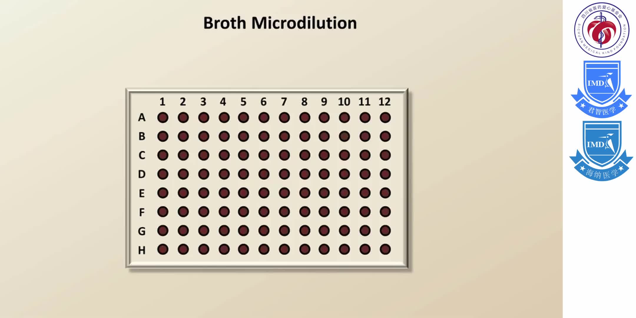 Antibiotic Resistance 3