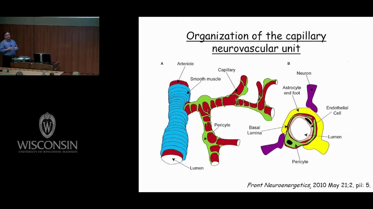 增生型糖尿病视网膜病变（9）