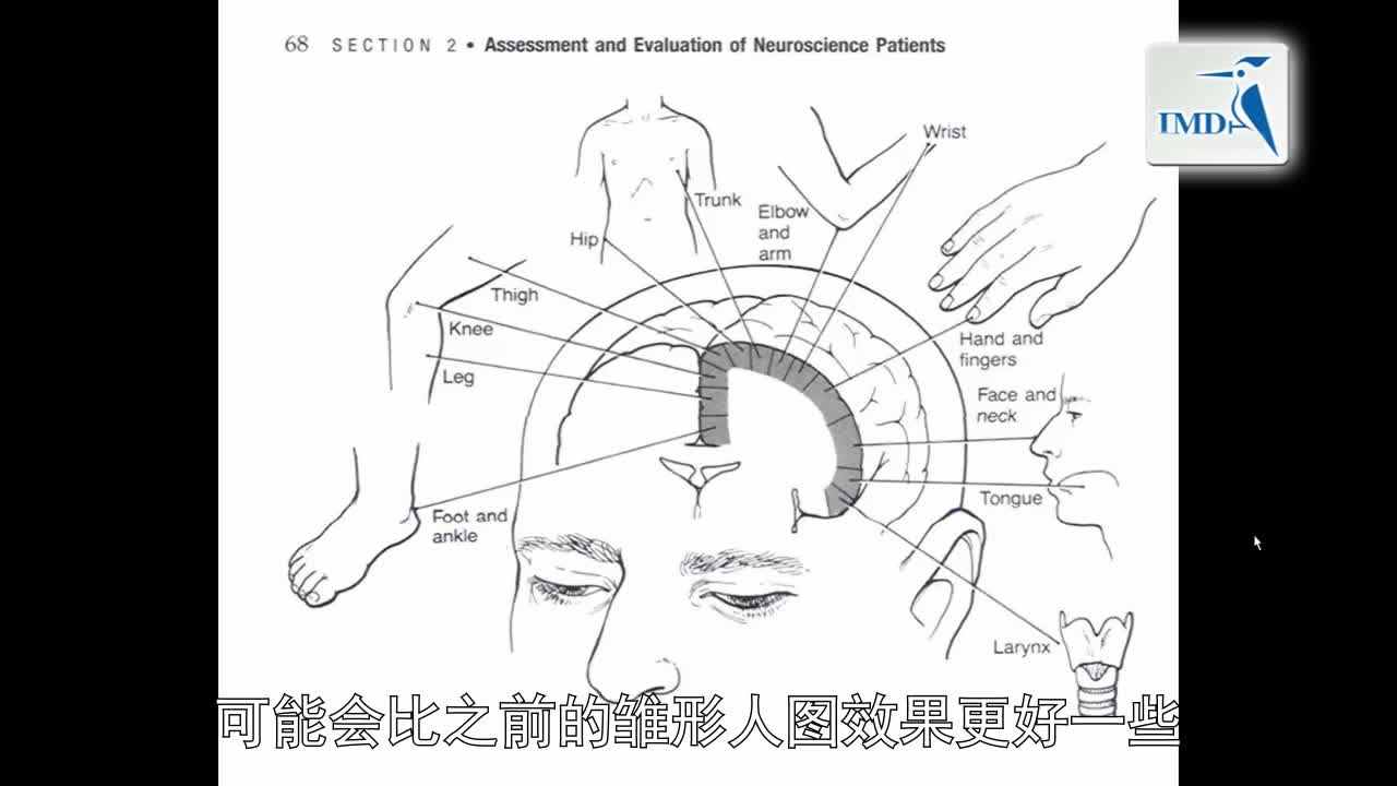 解剖学与生理学之神经解剖学（9）