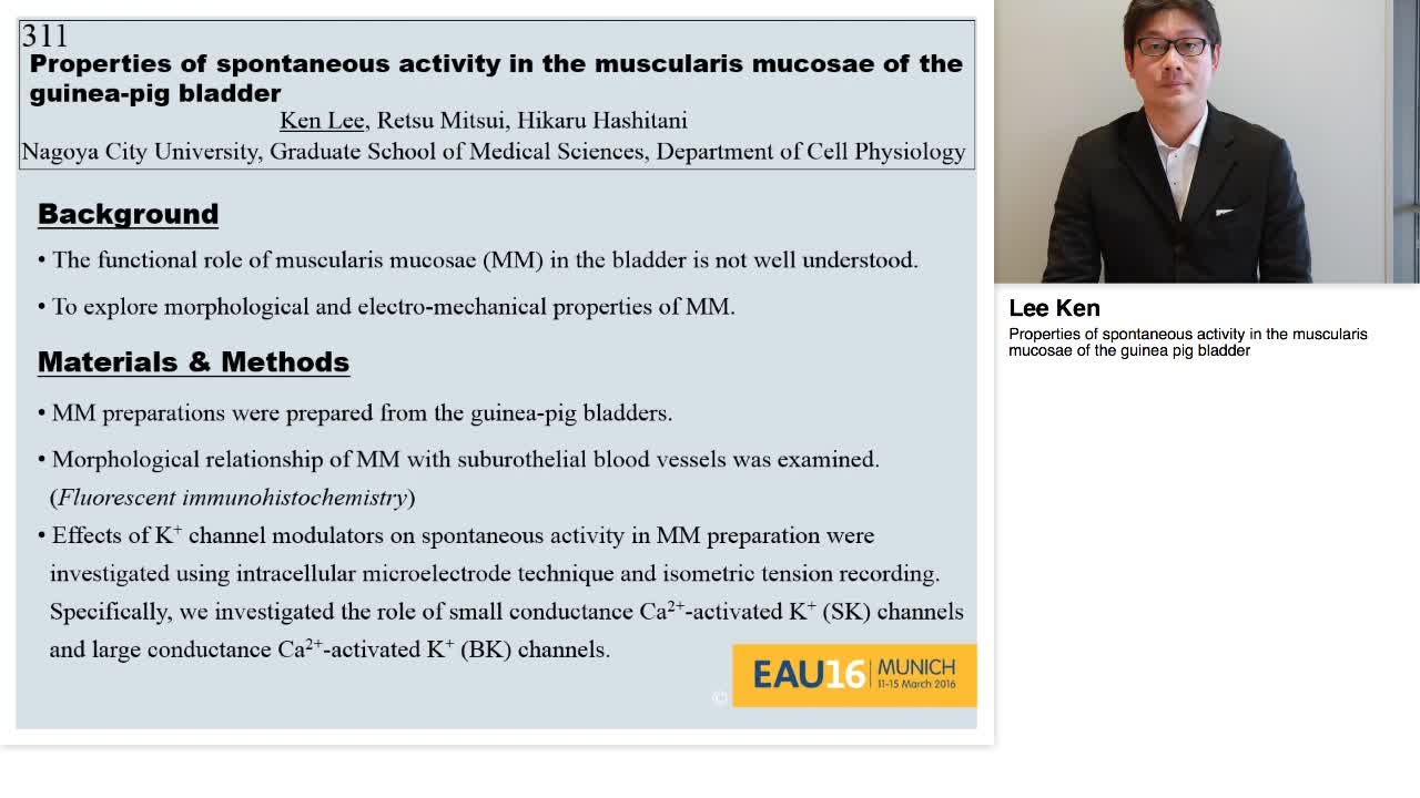 Properties of spontaneous activity in the muscularis muco-