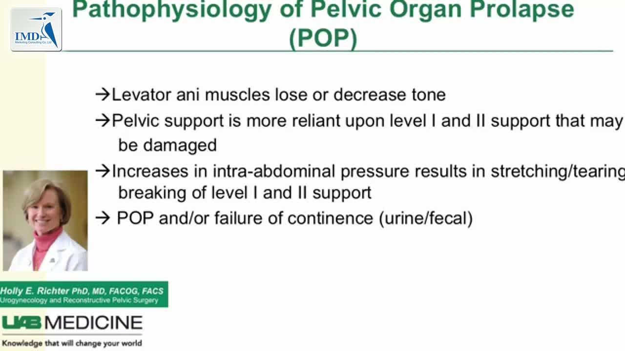 盆腔脏器脱垂手术介绍（2）