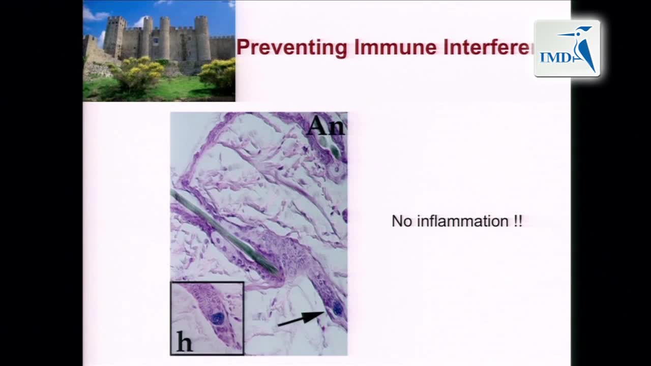 脱发的新兴治疗方法（9）