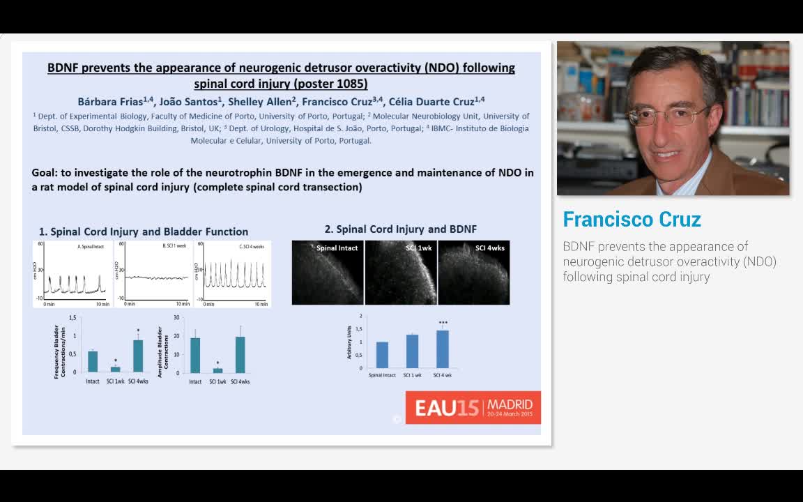 BDNF prevents the appearance of neurogenic detrusor overa..-