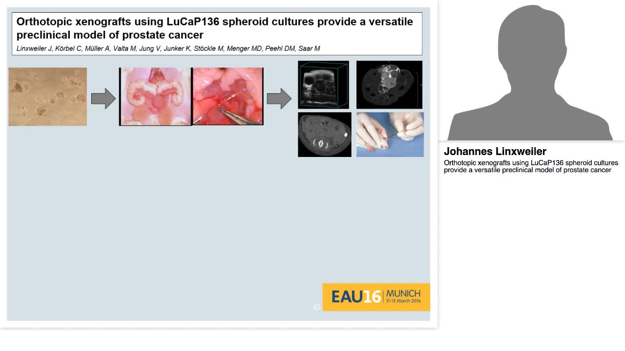 Orthotopic xenografts using LuCaP136 spheroid cultures pr-