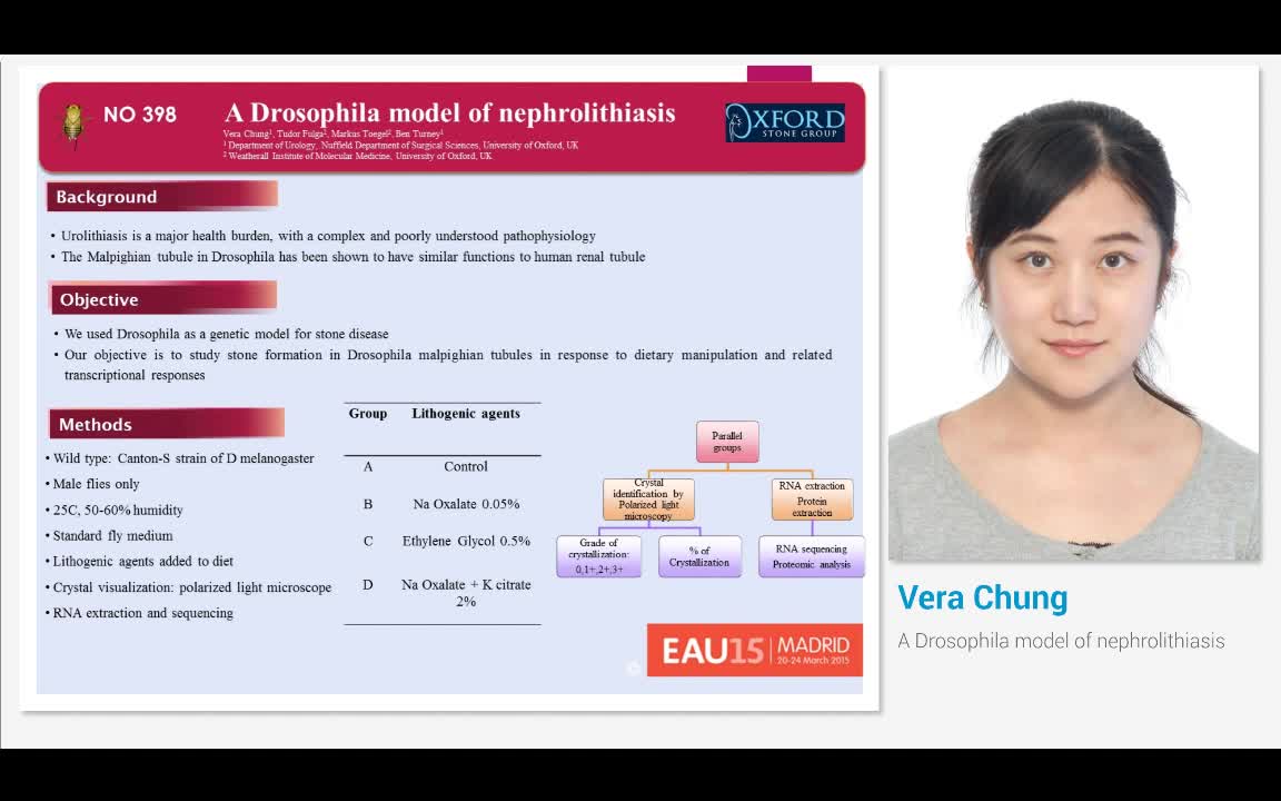 A Drosophila model of nephrolithiasis