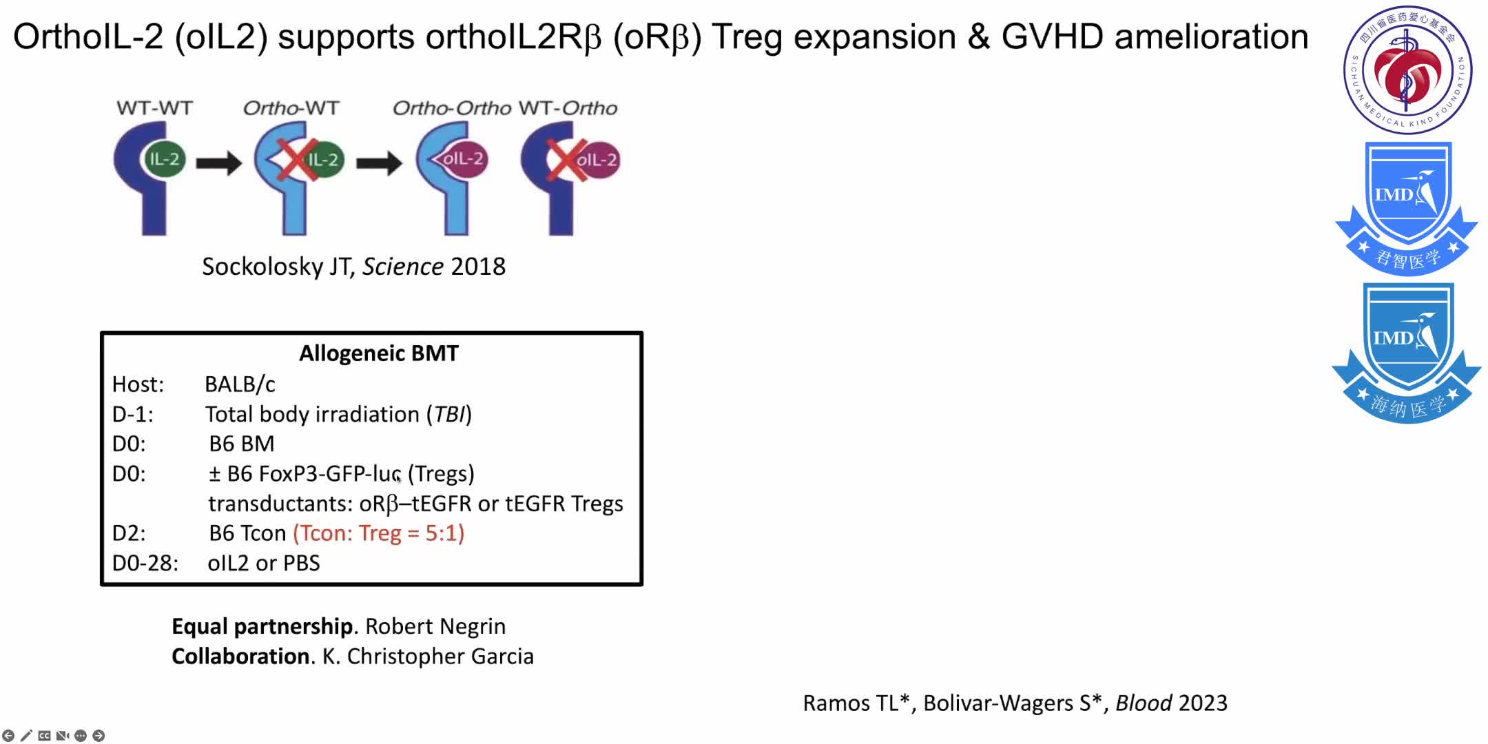 discusses the biological properties of regulatory T cells (Tregs) that are well suited for regaining immune homeostasis 11