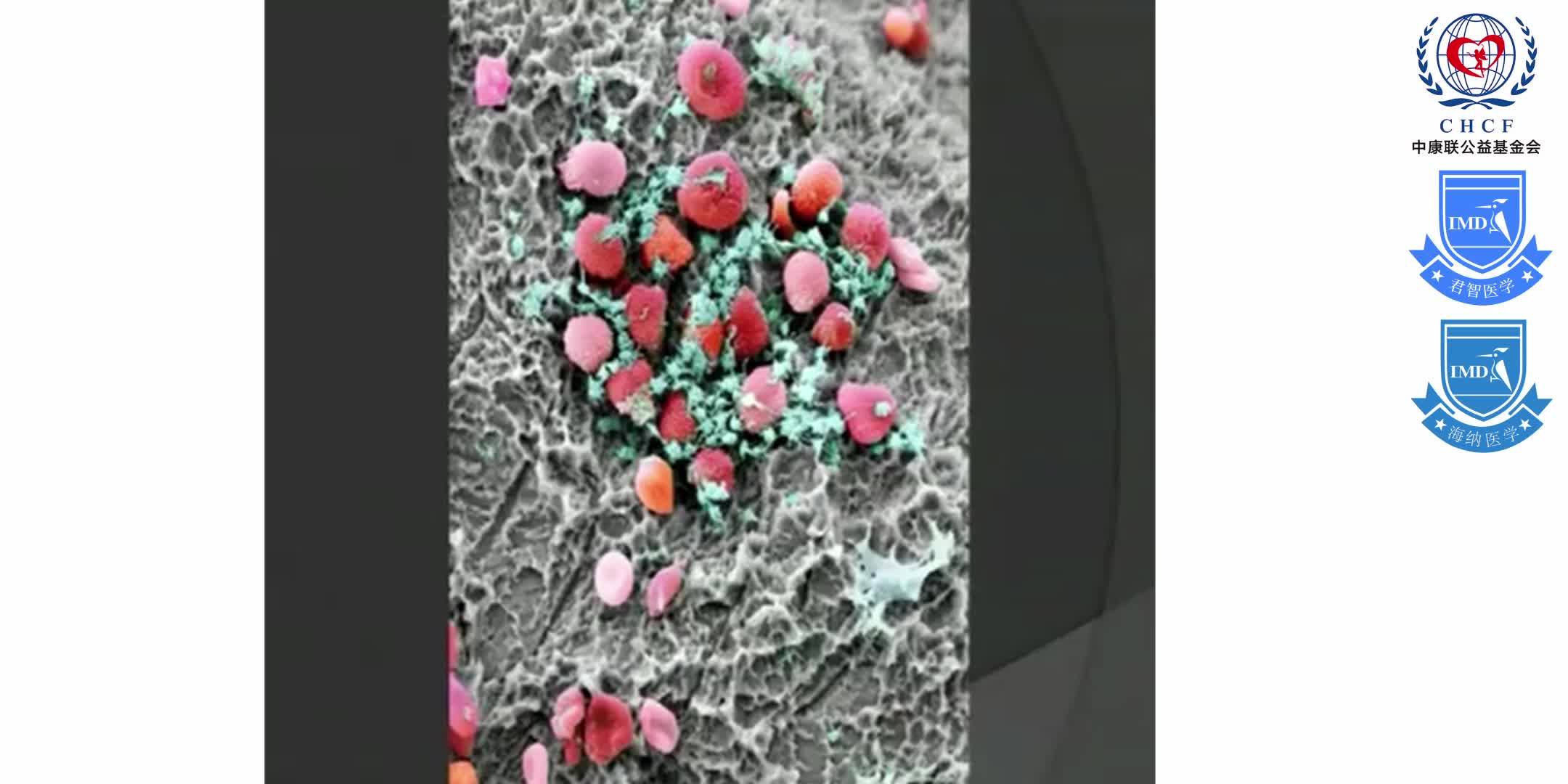 FHA Anesthesia CME Rounds 1-4