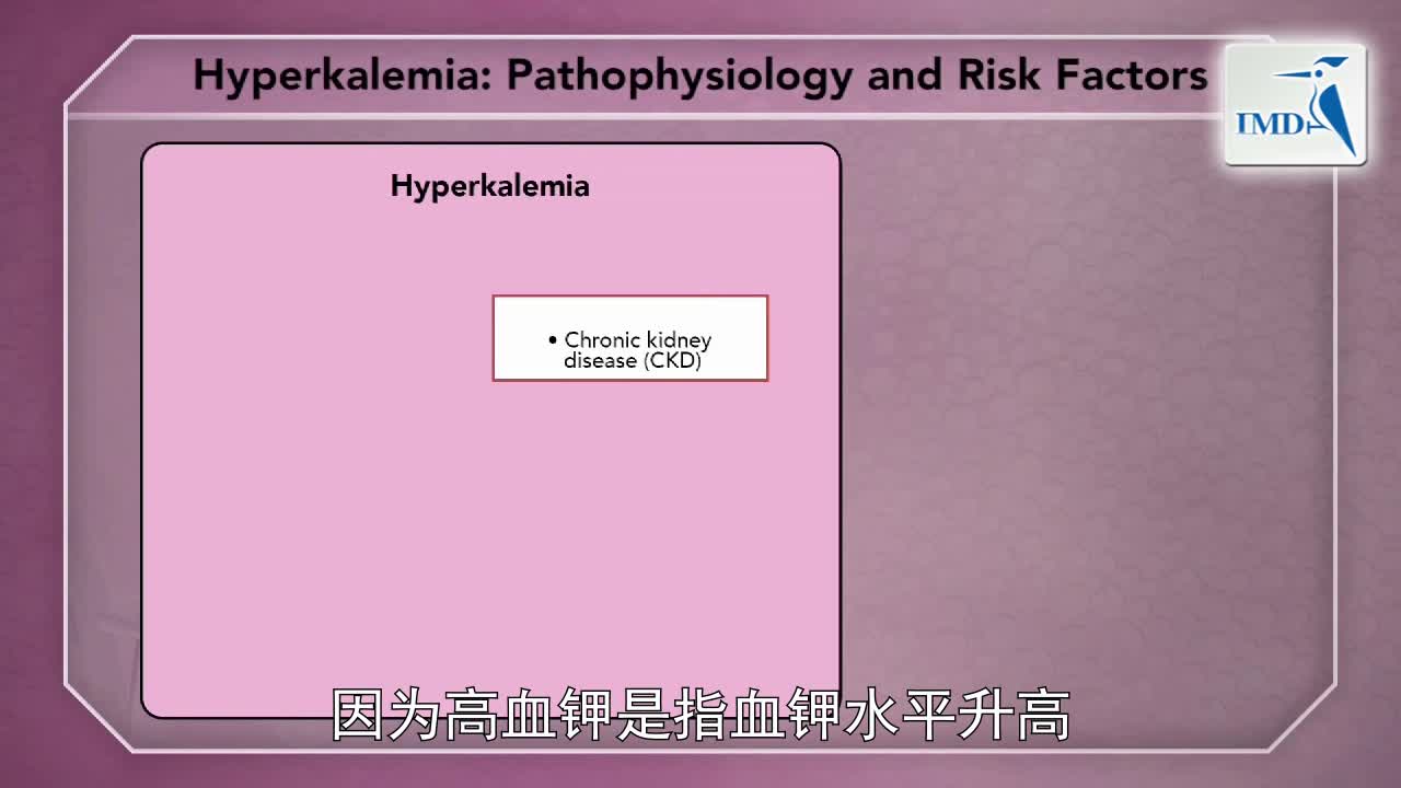 高危人群的高钾血症风险因素与高血钾形成（1）
