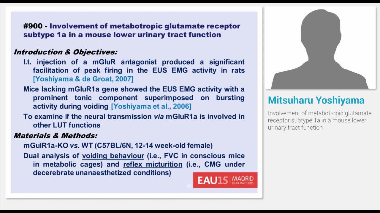 Involvement of metabotropic glutamate receptor subtype 1a..-