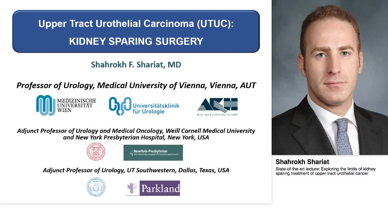 Exploring the limits of kidney sparing treatment of upper-