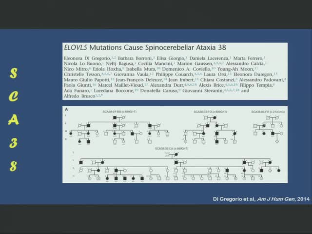 Clinical and Radiological Features of Spinocerebellar Ataxia 38 (SCA38)
