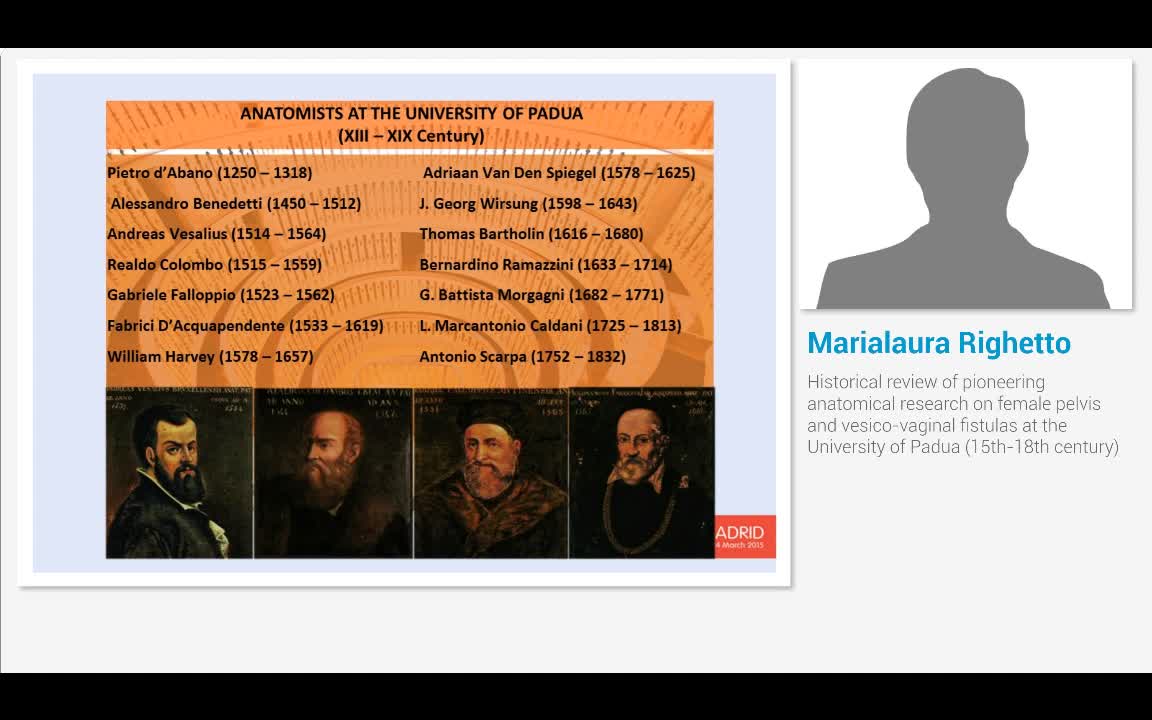 Historical review of pioneering anatomical research on fe..-