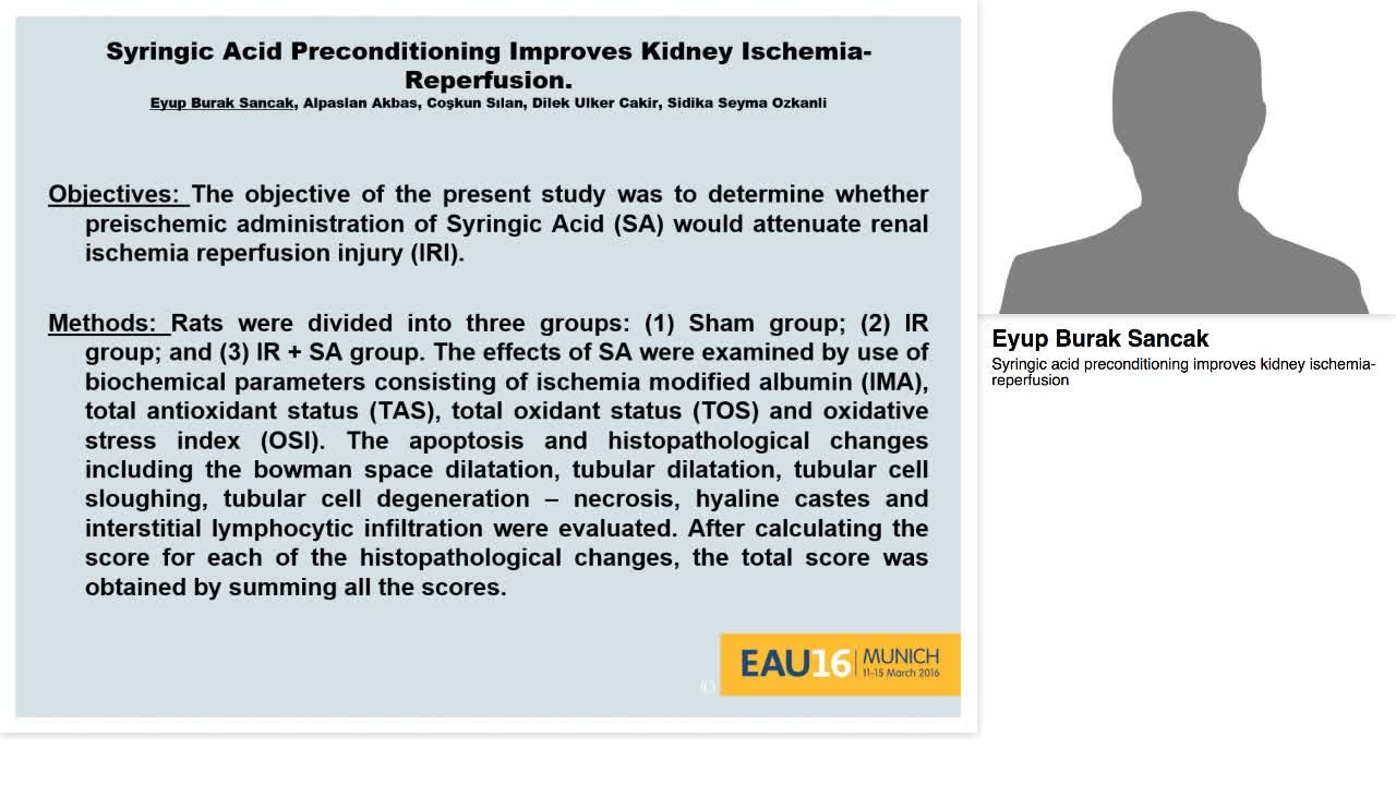 Syringic acid preconditioning improves kidney ischemia-re-