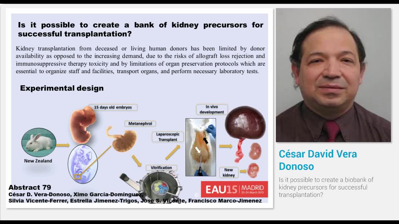 Is it possible to create a biobank of kidney precursors f..-