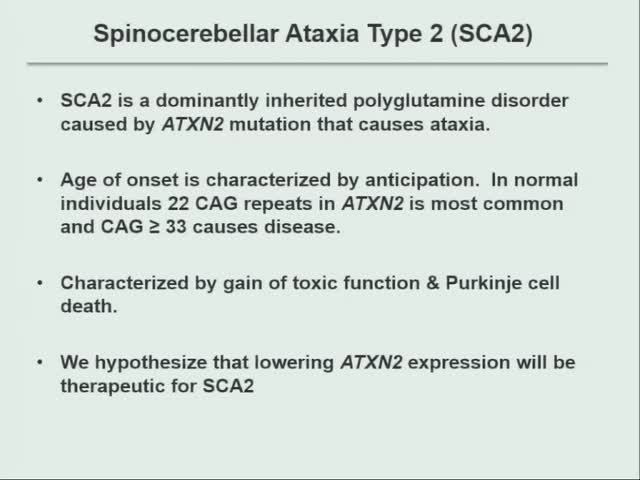 Targeting ATXN2 using antisense oligonucleotides as a treatment for spinocerebellar ataxia type 2 (SCA2)