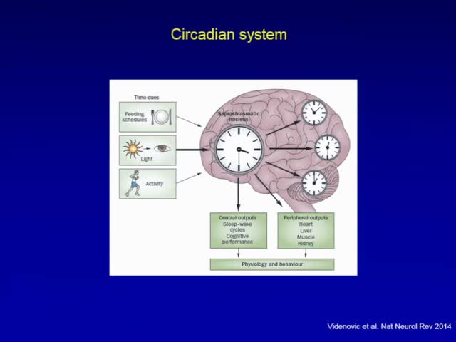 Circadian Expression of Clock Genes in Parkinson's Disease - Implications for disrupted sleep and daytime sleepiness