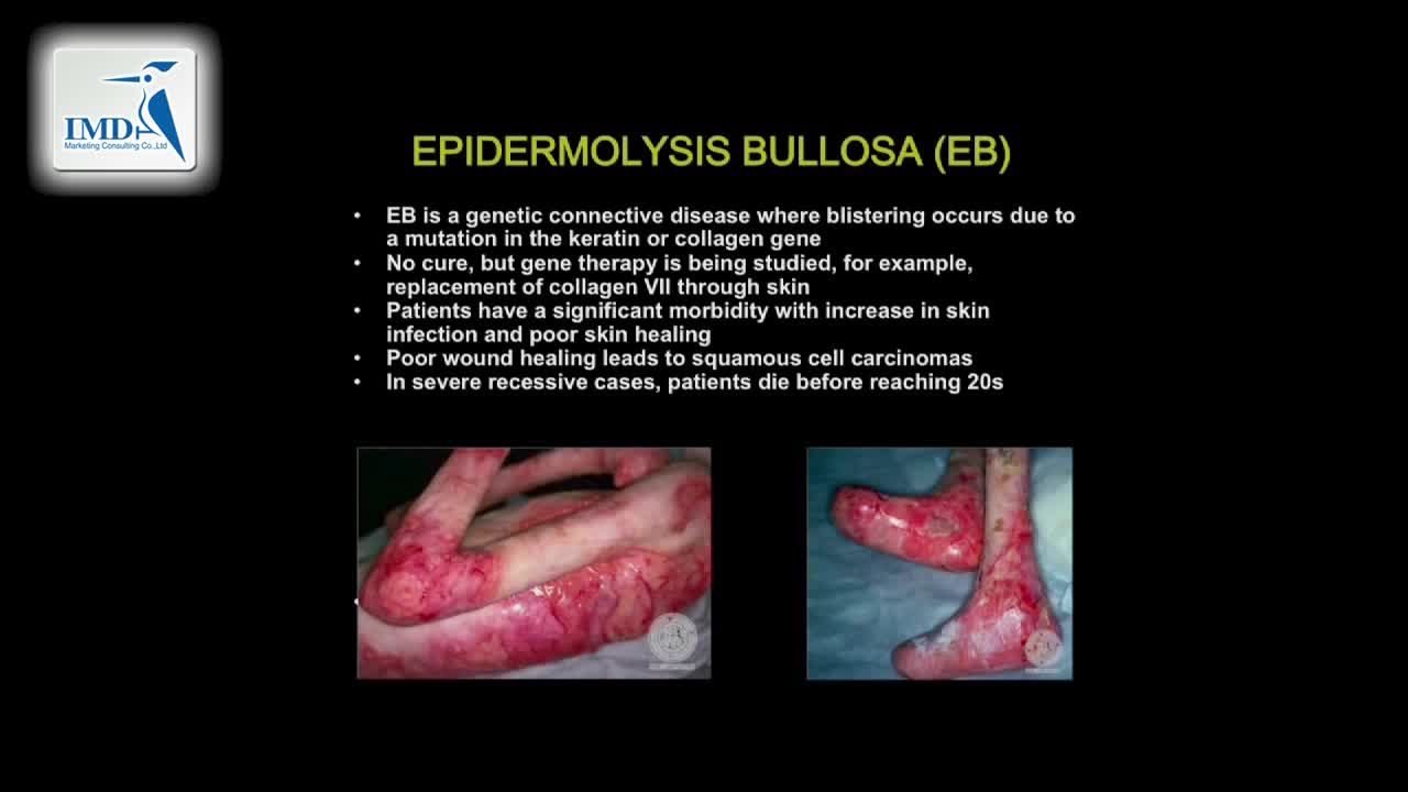 科学和皮肤病学（6）