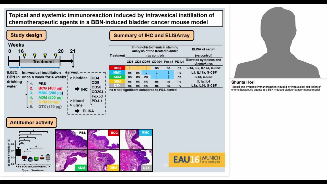 Topical and systemic immunoreaction induced by intravesic-