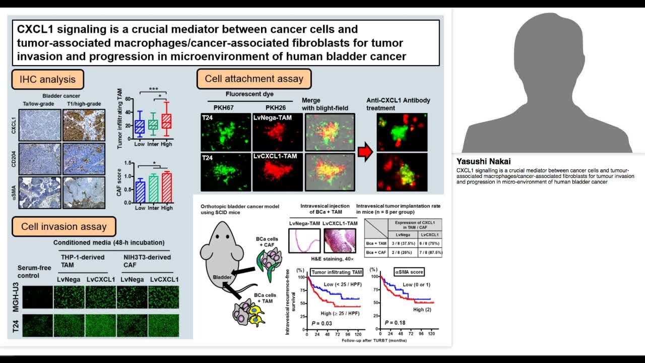 CXCL1 signalling is a crucial mediator between cancer cel-