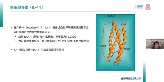刘爱春-重组人白介素-11多效性临床应用与探索共识解读
