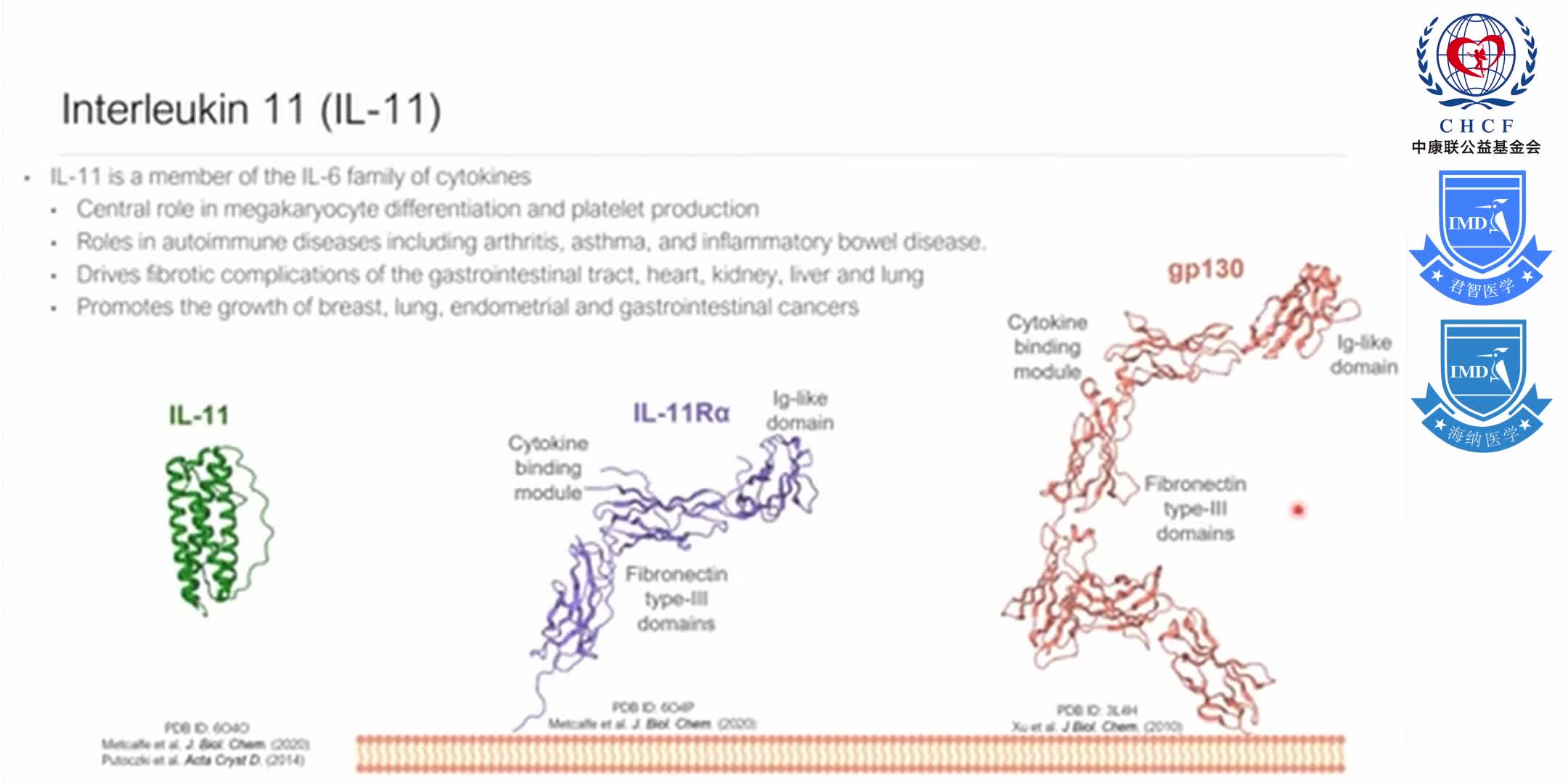 Structures of the interleukin 11 signalling complex 1-4