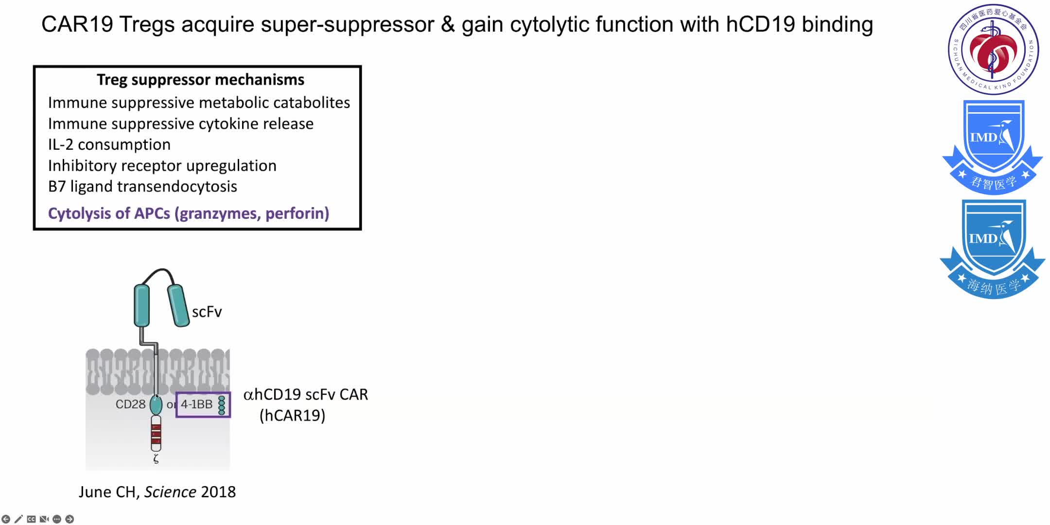 discusses the biological properties of regulatory T cells (Tregs) that are well suited for regaining immune homeostasis 14