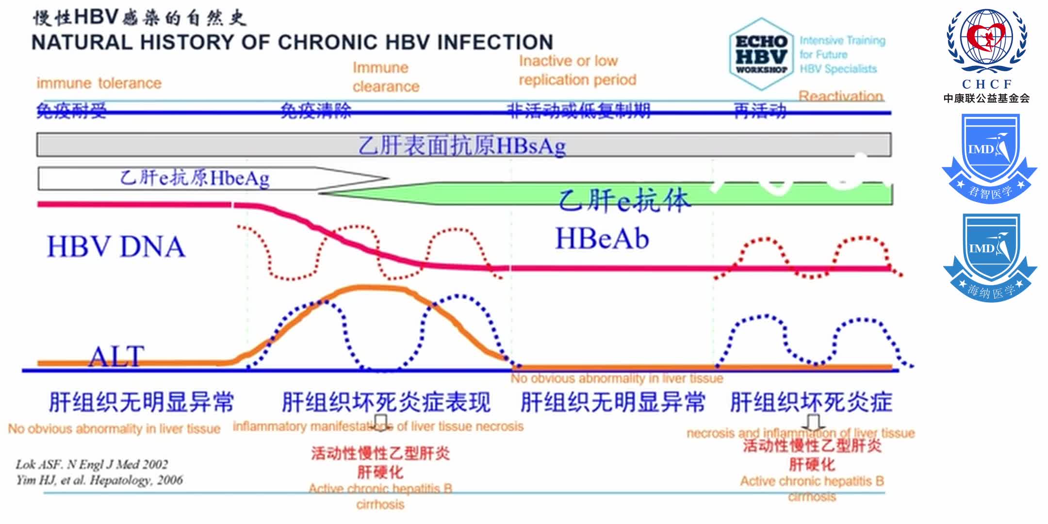 ECHO HBV China Module 2-4