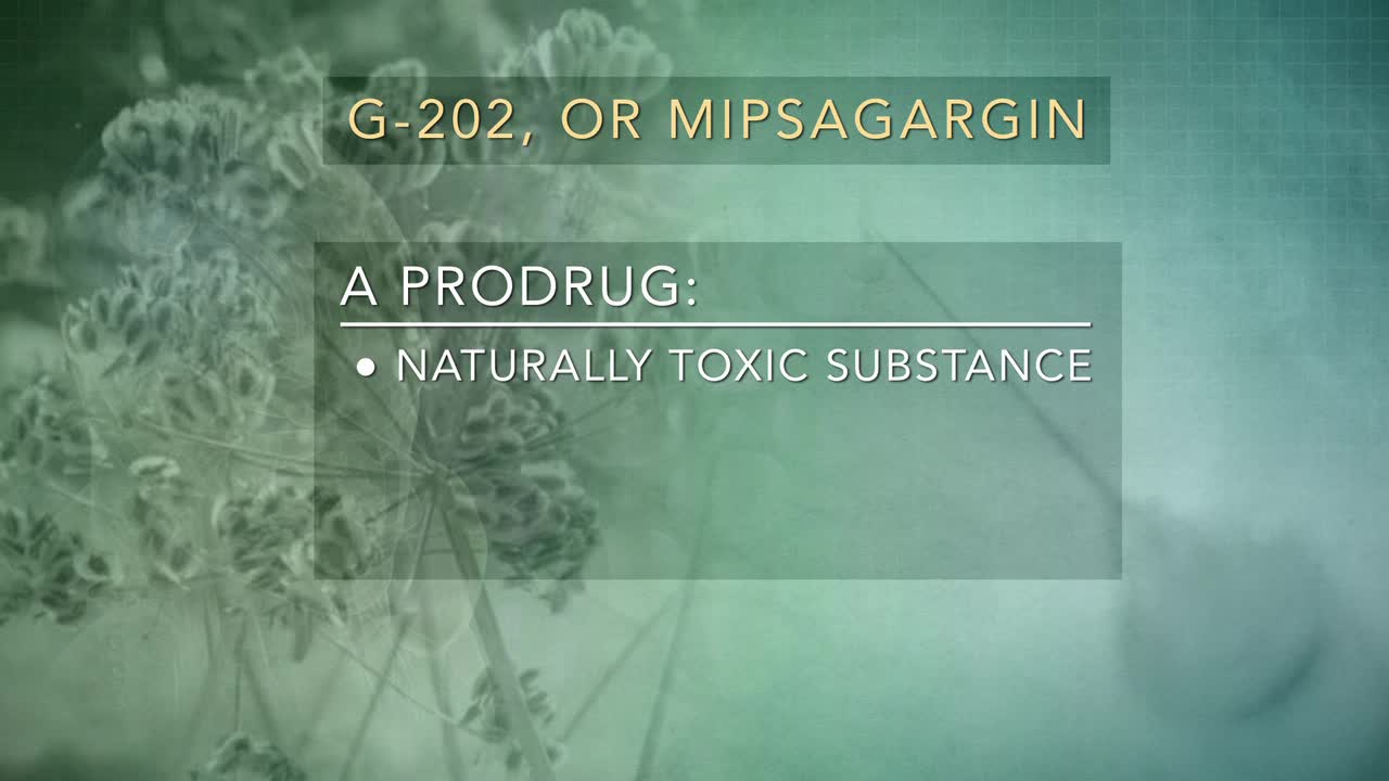 针对复发性胶质母细胞瘤的新前药