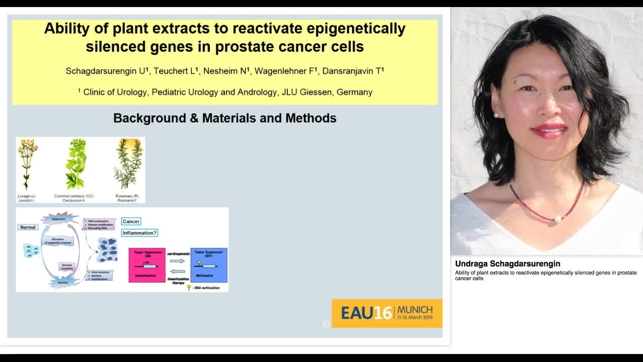 Ability of plant extracts to reactivate epigenetically si-