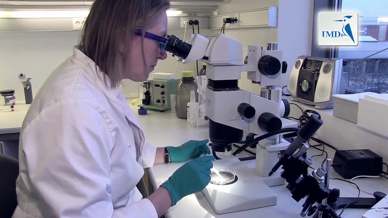 神经障碍疾病药物开发的复杂性