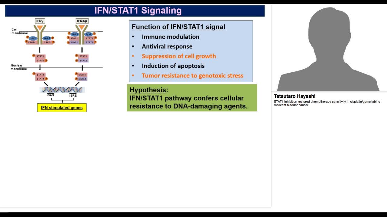 STAT1 inhibition restored chemotherapy sensitivity in cis-