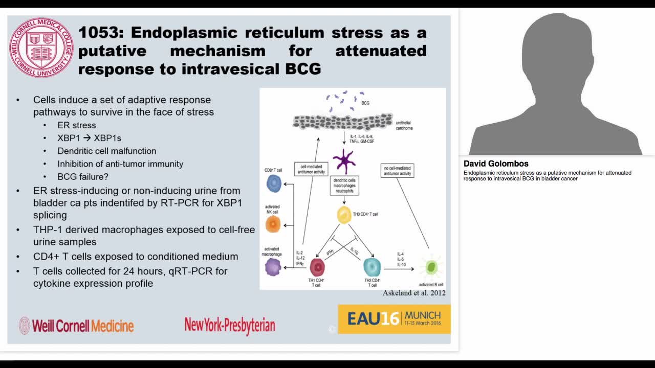Endoplasmic reticulum stress as a putative mechanism for -