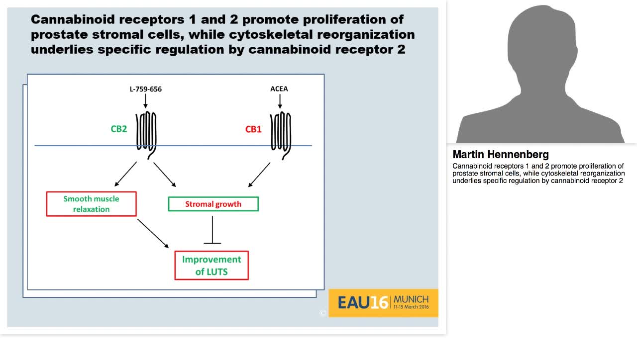 Cannabinoid receptors 1 and 2 promote proliferation of pr-
