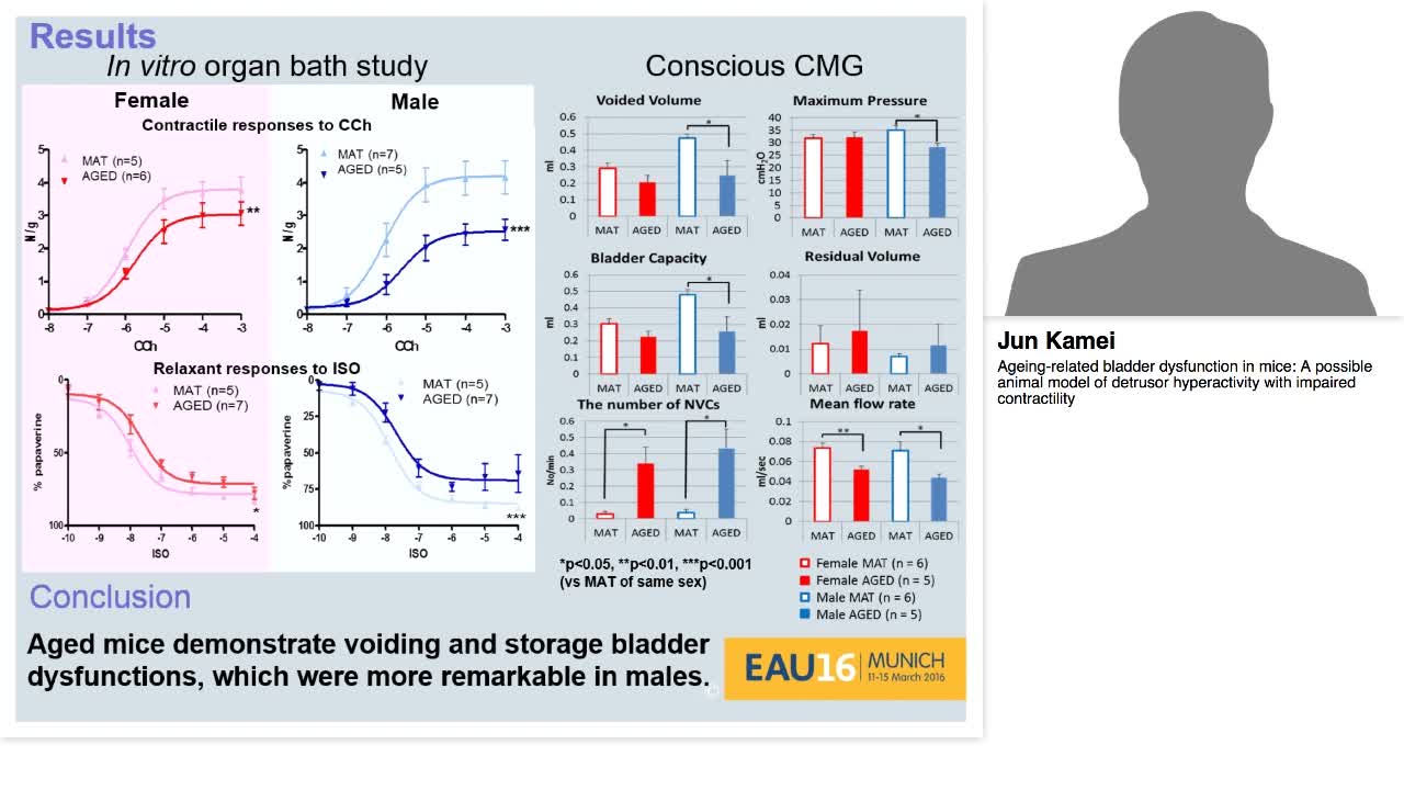 Ageing-related bladder dysfunction in mice, A possible an-