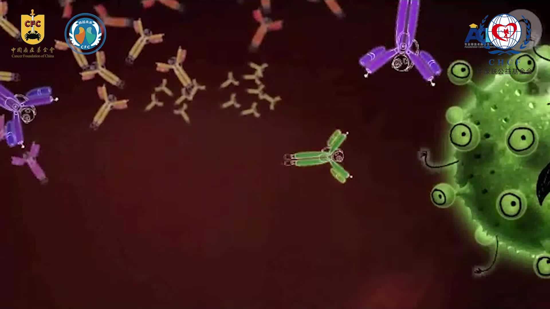 单克隆抗体与抗肿瘤免疫治疗