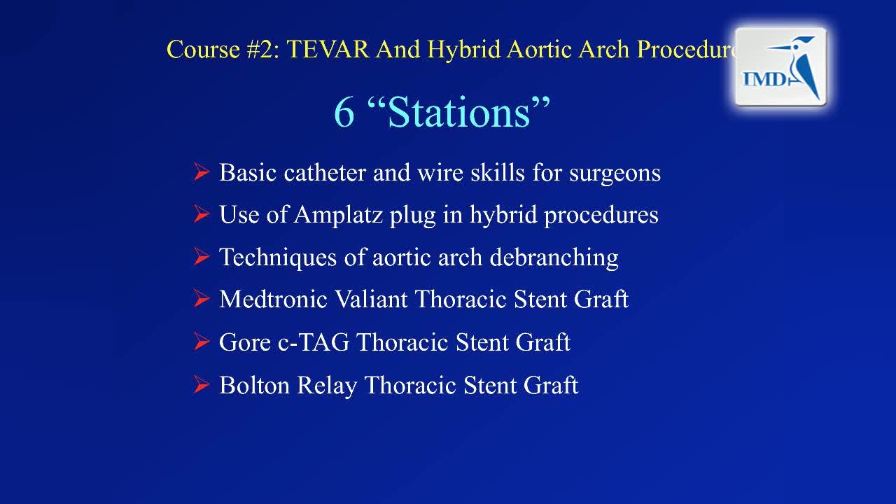 胸主动脉腔内修复术及主动脉弓分支手术（1）