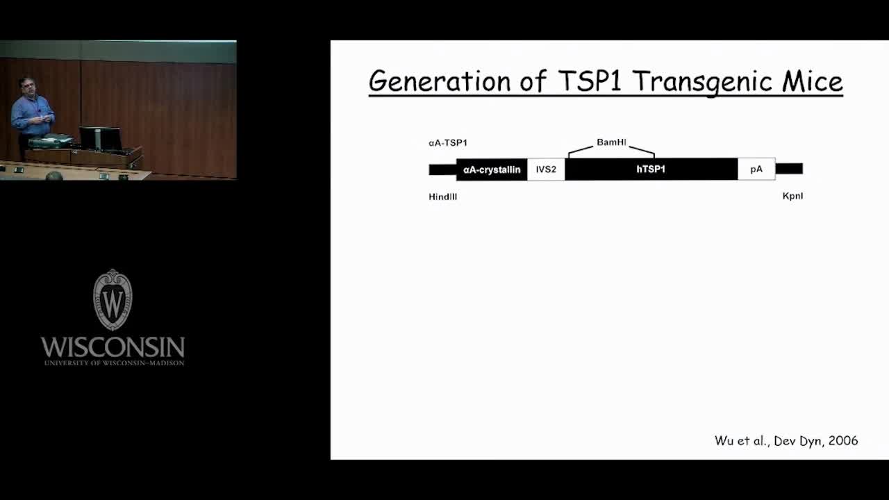 增生型糖尿病视网膜病变（8）