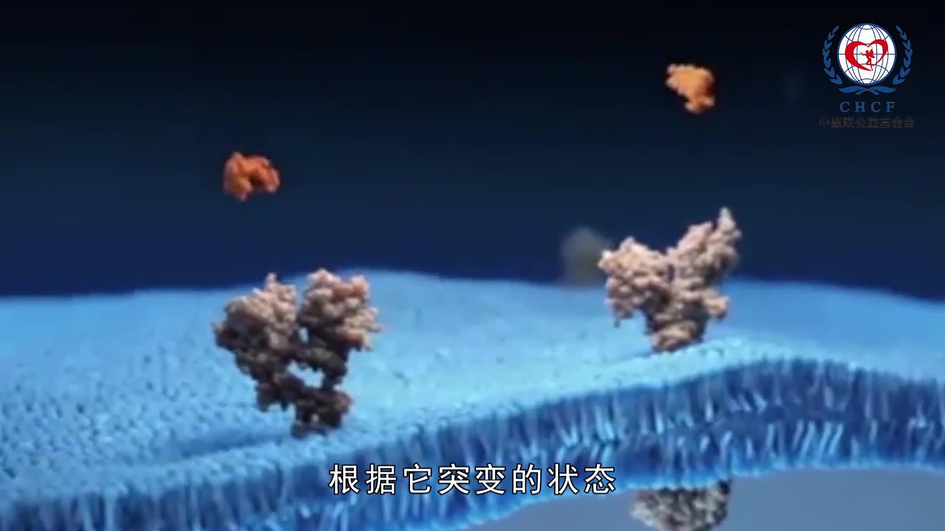 沈旭霞：分子检测在肺癌治疗中的作用