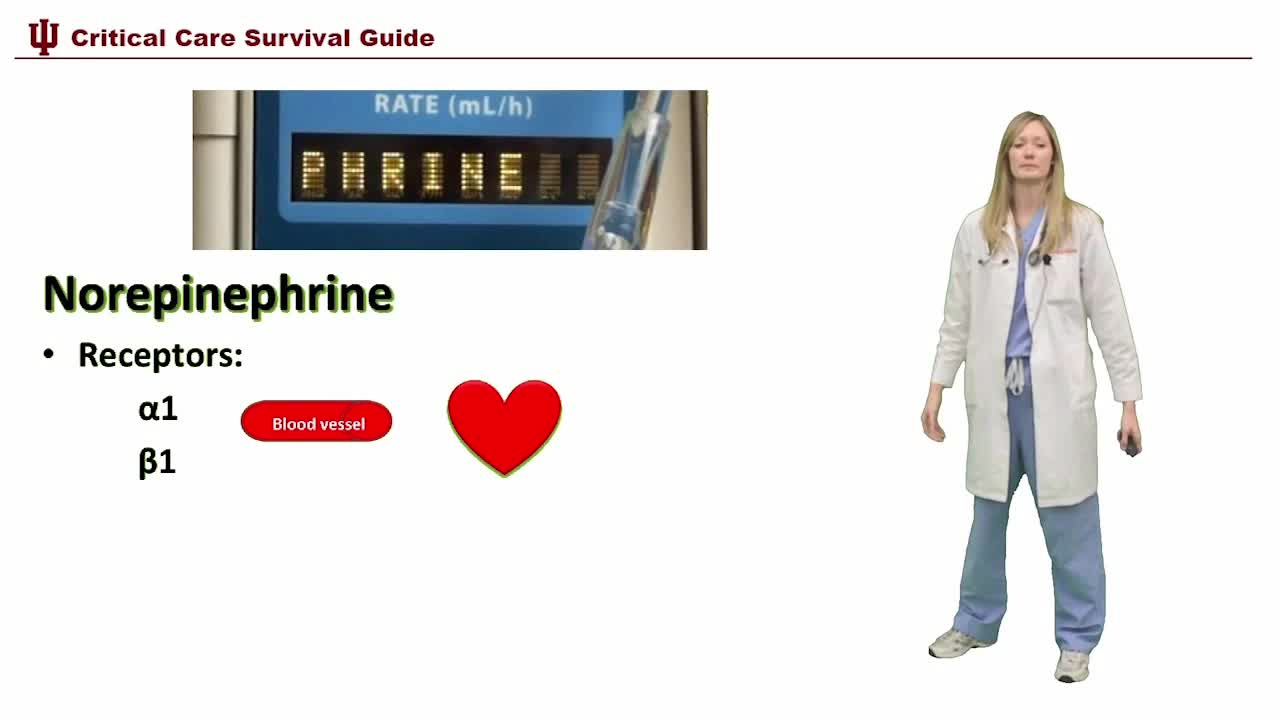 ICU内升血压药物使用