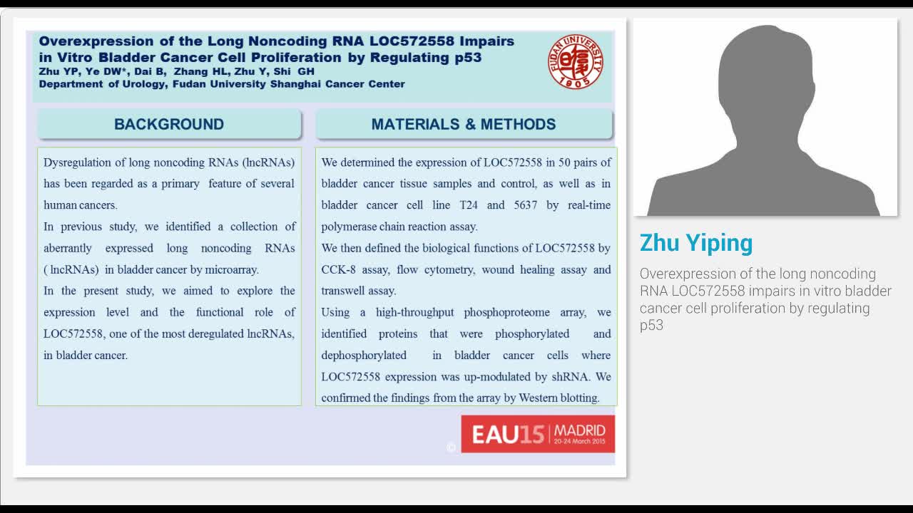 Overexpression of the long noncoding RNA LOC572558 impair..-