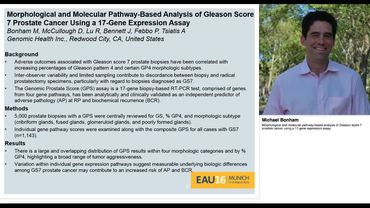 Morphological and molecular pathway-based analysis of Gle-
