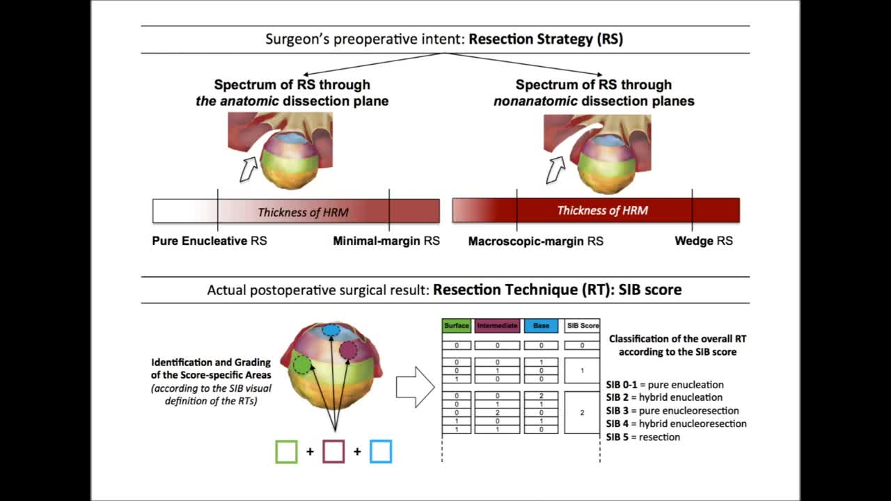Prospective evaluation of the Surface-Intermediate-Base (..-