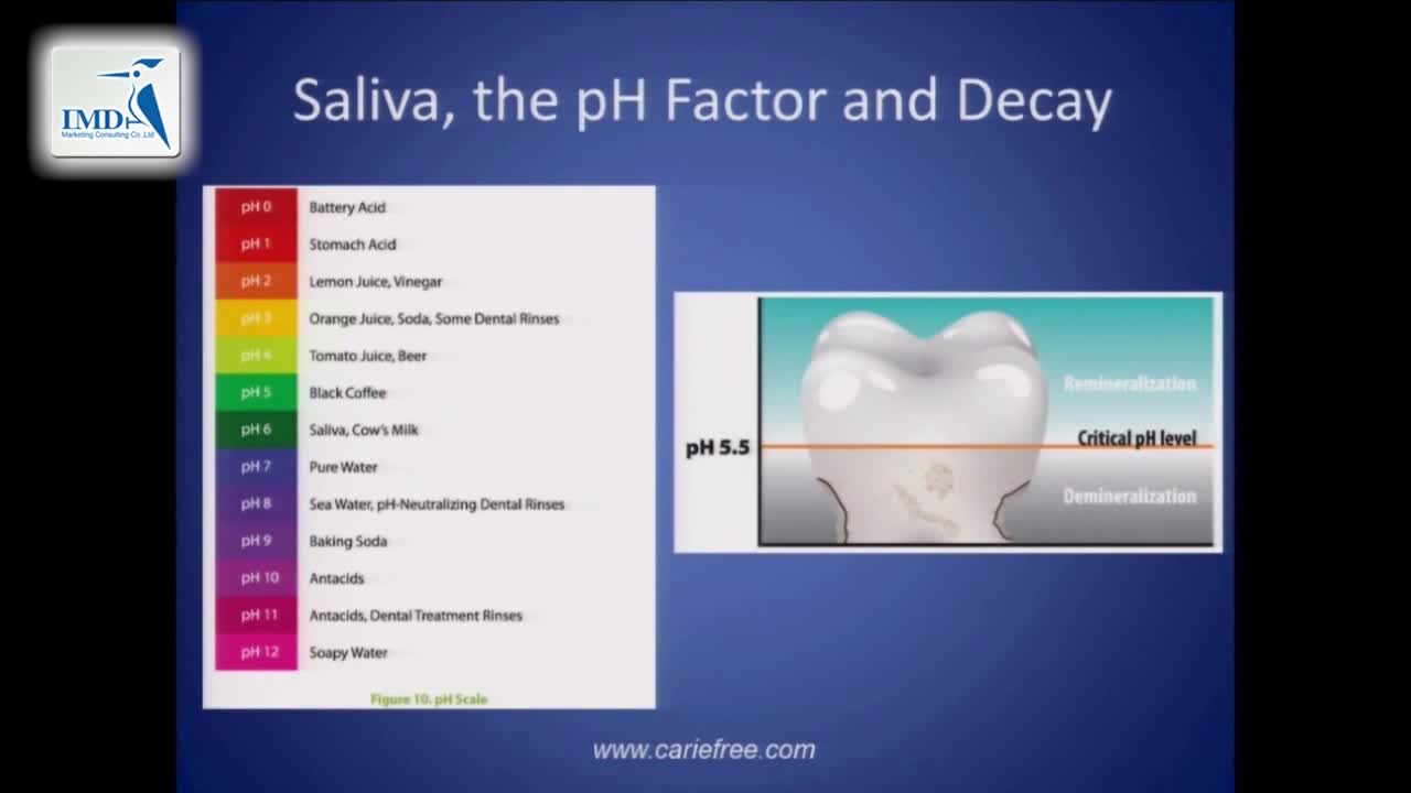 癌症治疗后如何管理牙齿健康（5）