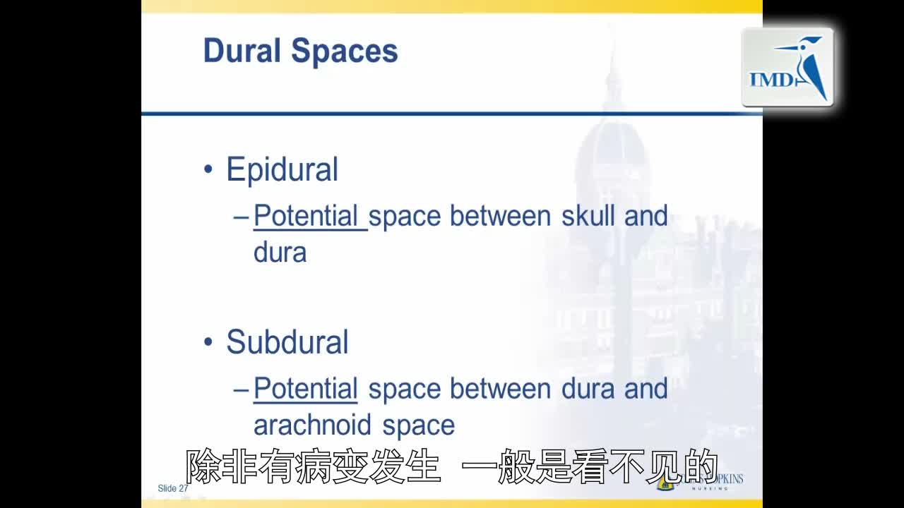 解剖学与生理学之神经解剖学（5）