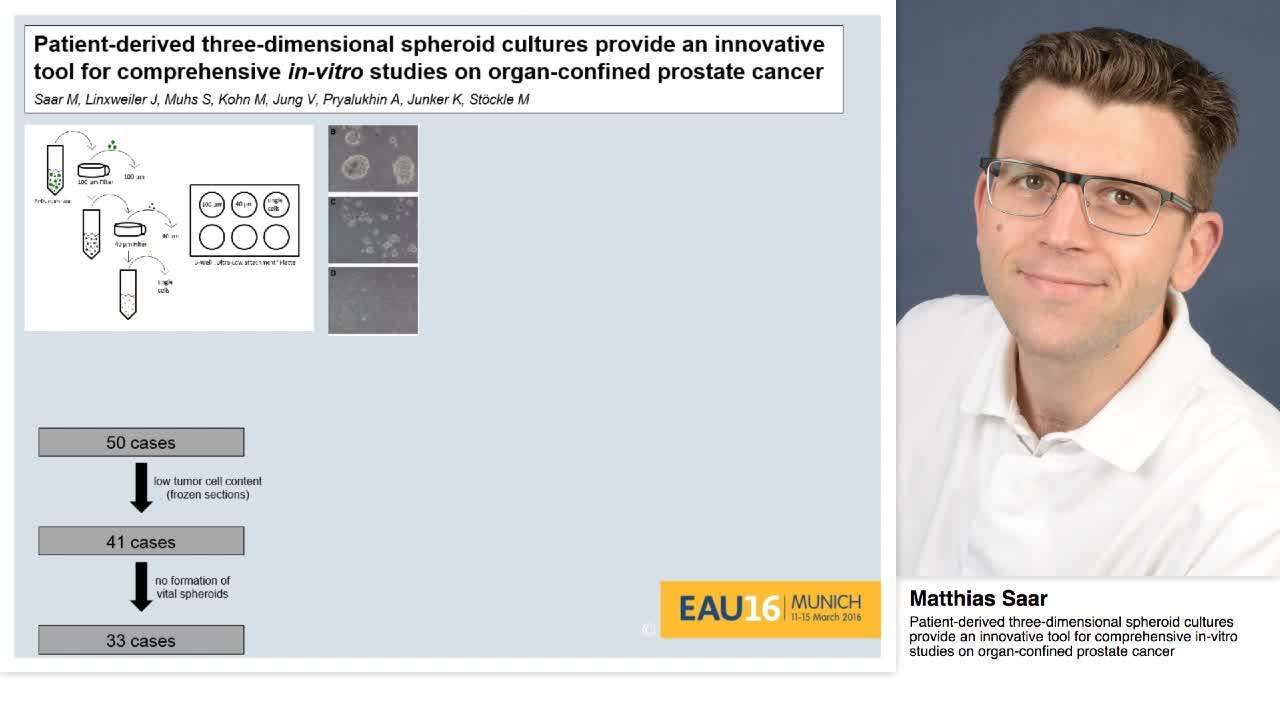 Patient-derived three-dimensional spheroid cultures provi-
