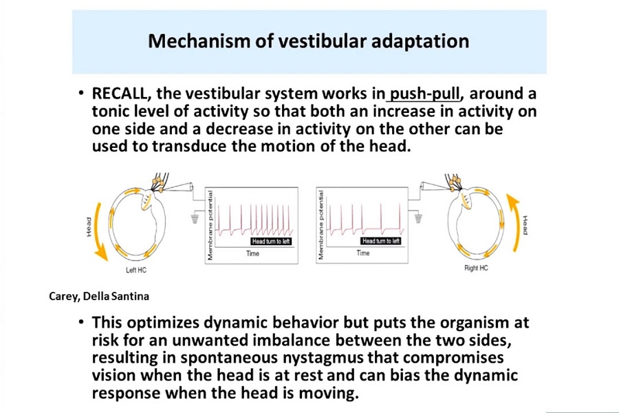 《眼科》2018年第7讲（总第32讲）磁前庭刺激：进展更新（3）